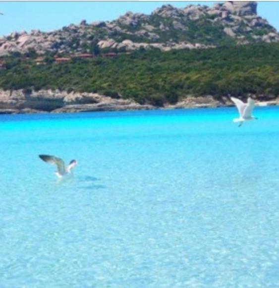 Gg Luxury Apartments - Santa Teresa Di Gallura Dış mekan fotoğraf